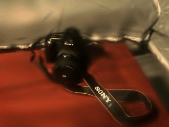 GIF